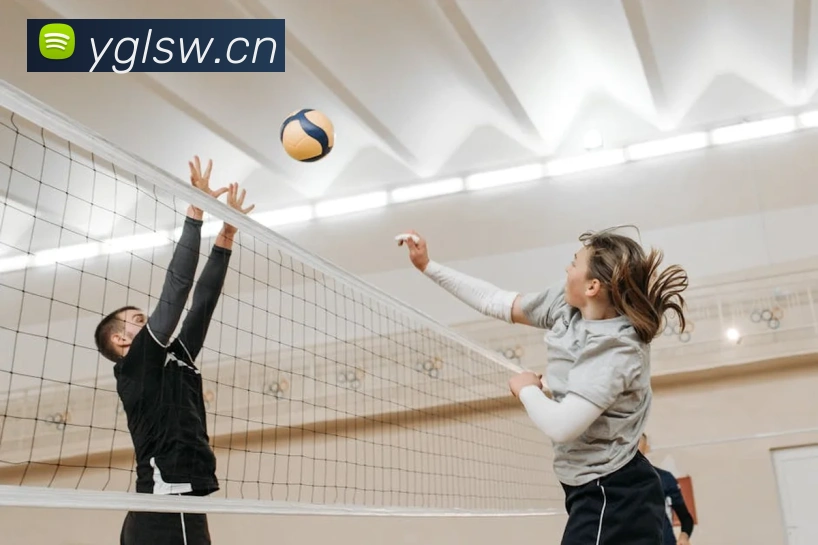 人人体育官网直播服务体系